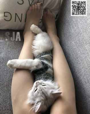 欧美国产影院_高清在线观看